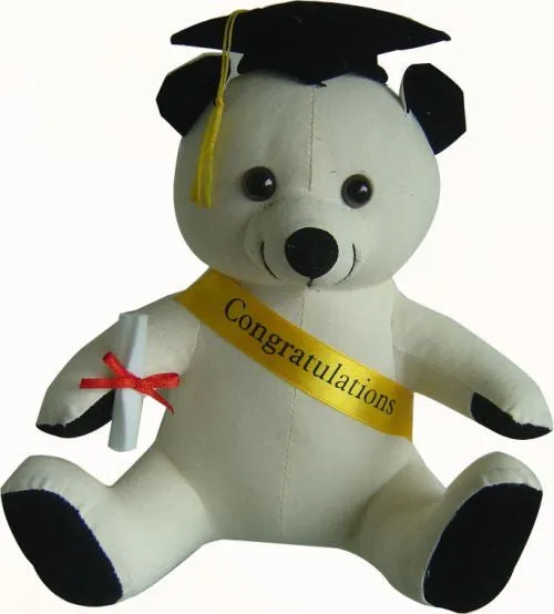 Dr Bear - 20cm